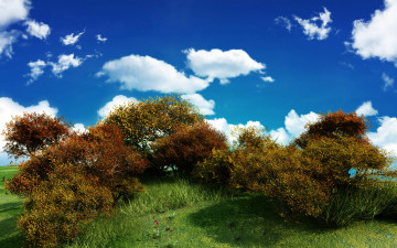 холм, кусты, растения, трава, небо, облака, природа, лето, Hill, bushes, plants, grass, sky, clouds, nature, summer