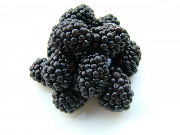 ежевика, лесная ягода, черные ягоды на белом фоне, макро, blackberries, wild berries, black berries on a white background, close-up