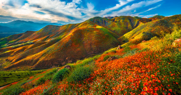 Обои на рабочий стол Калифорния, америка, штаты, калифорнии, Природа, Горы, весенние, Пейзаж, облачно, Walker, США, облако, Canyon, wildflowers, Весна, гора, Облака
