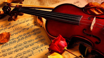скрипка с красной розой возле нот - романтика