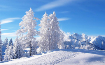 зимний пейзаж, природа, снег, деревья в снегу, голубое небо, красивые обои, winter landscape, nature, snow, trees in the snow, blue sky, beautiful wallpaper