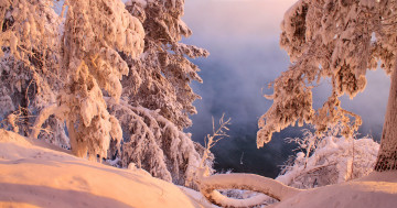 зима, снег, иней, деревья, зимний пейзаж, природа, озеро