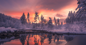 Обои на рабочий стол Восход, зима в Телемарке, пейзаж, Норвегия, деревья, закат, природа