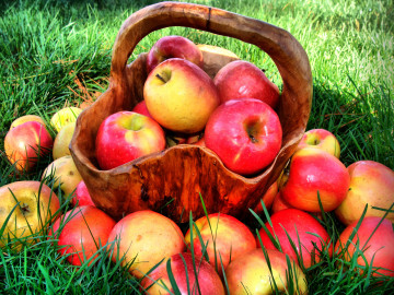 яблоки, фрукты, корзина, трава, лето, еда, обои на рабочий стол, Apples, fruit, basket, grass, summer, food, wallpaper