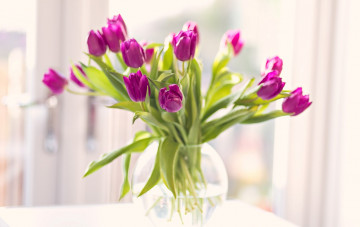 Фото бесплатно ваза, лиловые тюльпаны