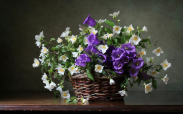 Фото бесплатно колокольчики, Жасмин, корзина, цветы