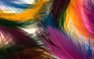 2560х1600 разноцветные перья