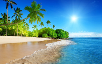 море, волны, пальмы, берег, пляж, песок, солнце, голубое небо, отдых, курорты, побережье, sea, waves, palms, shore, beach, sand, sun, blue sky, vacation, resorts, coast
