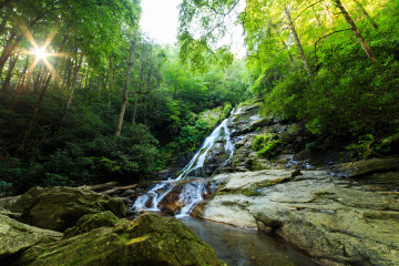 Фото бесплатно зеленые листья, деревья, водопад в лесу, лучи солнца, природа