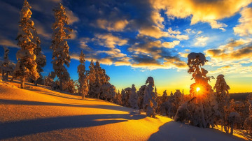 зима, снег, гора, вечер, солнце, закат, ёлки в снегу, облака, природа, зимний пейзаж