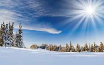 зимний пейзаж, хвойный лес, снег, небо, солнце, обои скачать, Winter landscape, coniferous forest, snow, sky, sun, wallpaper download