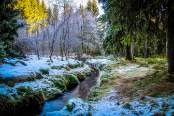 Фото бесплатно река, деревья, первый снег, природа начало зимы