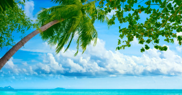 море, пальмы, облака, бирюза, отдых, тропики, пейзаж