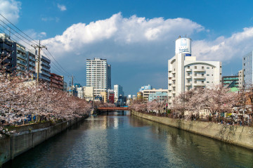 Фото бесплатно города, Япония, весна, река