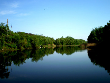 река, Псёл, штиль, лето, деревья, отражение в воде, природа