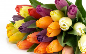 большой букет, разноцветные тюльпаны, весенние цветы, бутоны, фото, обои, Large bouquet, colorful tulips, spring flowers, buds, photo, wallpaper