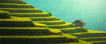 rice terraces, mountain landscape, зелень, деревянный домик, 5К обои 3440х1440