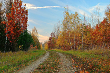 Фото бесплатно осень, дорога, грунтовая дорога