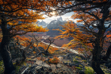 Фото бесплатно желтые листья, горы, деревья