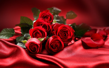 a bouquet of burgundy roses on a burgundy coverlet, flowers, roses, a bouquet, букет бордовых роз на бордовом покрывале, цветы, розы, букет,