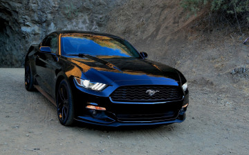 Ford Mustang, обои, автомобили для рабочего стола, скачать бесплатно, высокого качества.