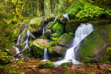 Фото бесплатно зелень, природа, мох, водопад, осень