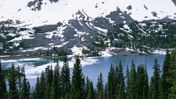 Bow Lake, Национальный парк Банф, Альберта, Канада, горы под снегом, елки, водоем, природа