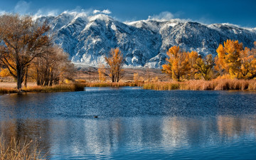 Фото бесплатно озеро, осень, снег на горах, деревья, природа