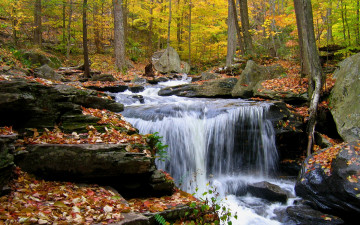 водопад, осень, опавшие листья, лес, деревья, природа