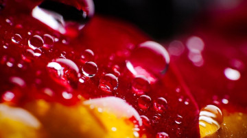 бульбашки, вода, красный цвет, макро