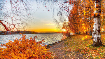 золотая осень на берегу реки с закатом