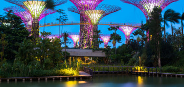supertree grove gardens by the bay singapore, наддеревяні сади на бухті Сінгапур