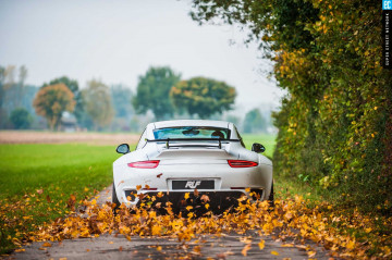 Фото бесплатно осень, Porsche 911, белый, листья