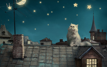 кот на крыше, картина, рисованные обои, ночь, звезды, крыша дома, сказка, cat on the roof, picture, drawn wallpaper, night, stars, roof of the house, fairy tale