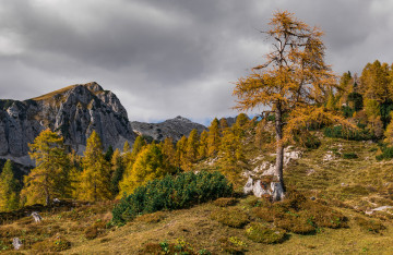 Фото бесплатно природа, Словения, осень, тучи, деревья