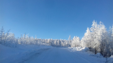 Фото бесплатно снежные деревья, сугробы, иней, снег, зима