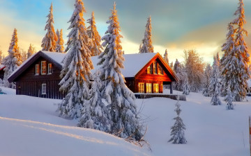 зима, природа, снег, елки, деревянные дома, обои, фото, Winter, nature, snow, trees, wooden houses, wallpaper, photo