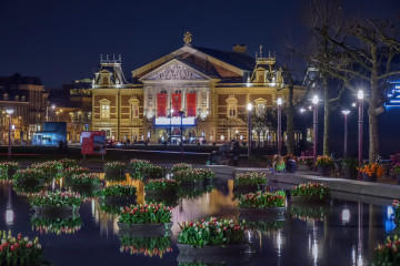 Фото бесплатно Амстердам, ночной город, отражение