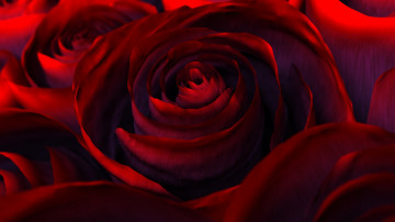 red roses, bouquet, buds, flowers, красные розы, букет, бутоны, цветы,