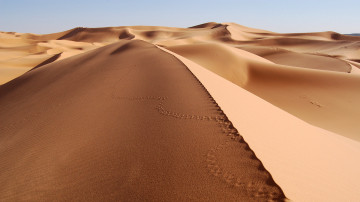 дюны, песок, пустыня, Сахара, следы, природа, dunes, sand, desert, Sahara, footprints, nature