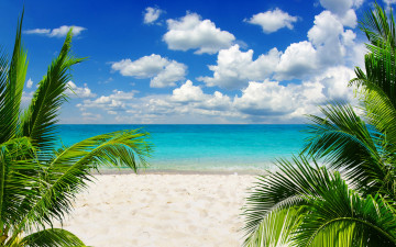 тропический пейзаж: песок море облака пальмы