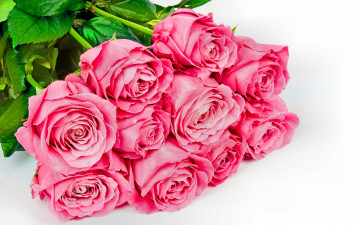 Большой букет розовых роз с зелеными листьями на белом фоне для любимой