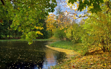 autumn, park, lake, nature, trees, осень, парк, озеро, природа, деревья