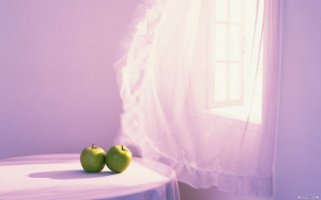quad hd обои, минимализм, интерьер, зеленые яблоки на столе, розовые стены, тюль на окне