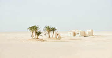 Обои на рабочий стол природа, пейзаж, пустыня, песок, песчаный, засушливый, пальма, дерево