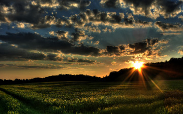 закат, небо, лучи солнца, облака, поле, природа, sunset, sky, sun, clouds, field, nature