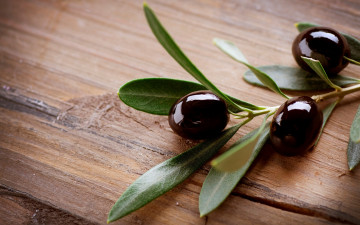 оливки, веточка на столе, красивые обои, Olives, a twig on the table, beautiful wallpaper