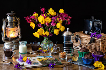 Фото бесплатно цветы, кофе, лепестки