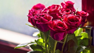 красные розы, букет, бутоны, цветы, праздник, red roses, bouquet, buds, flowers, holiday