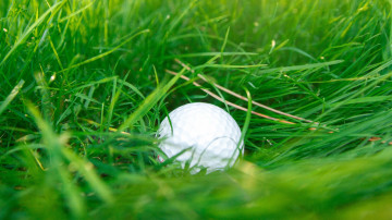 мяч для гольфа, зеленая трава, обои 2560х1440